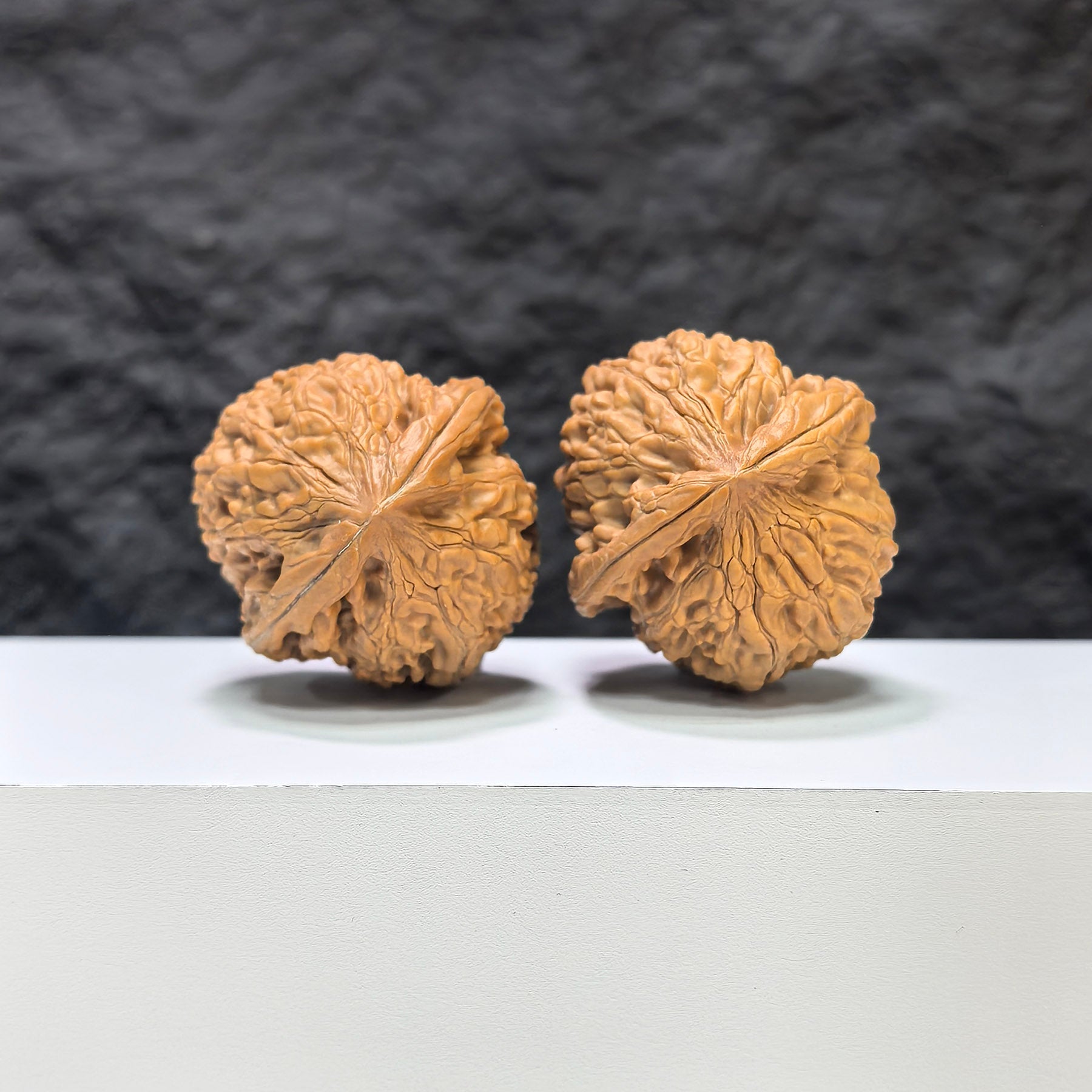 【收藏級】紅錦鯉 文玩核桃 (3.9 × 4.1cm) | [Collector's Grade] Red Koi Walnut (3.9 × 4.1cm) - SKU: HJL-1C9