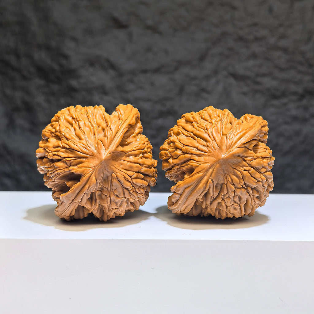 【收藏級】獅虎獸 文玩核桃 (4.7 × 4.4cm) | [Collector's Grade] Liger Walnut (4.7 × 4.4cm) - SKU: SHS-1Z0
