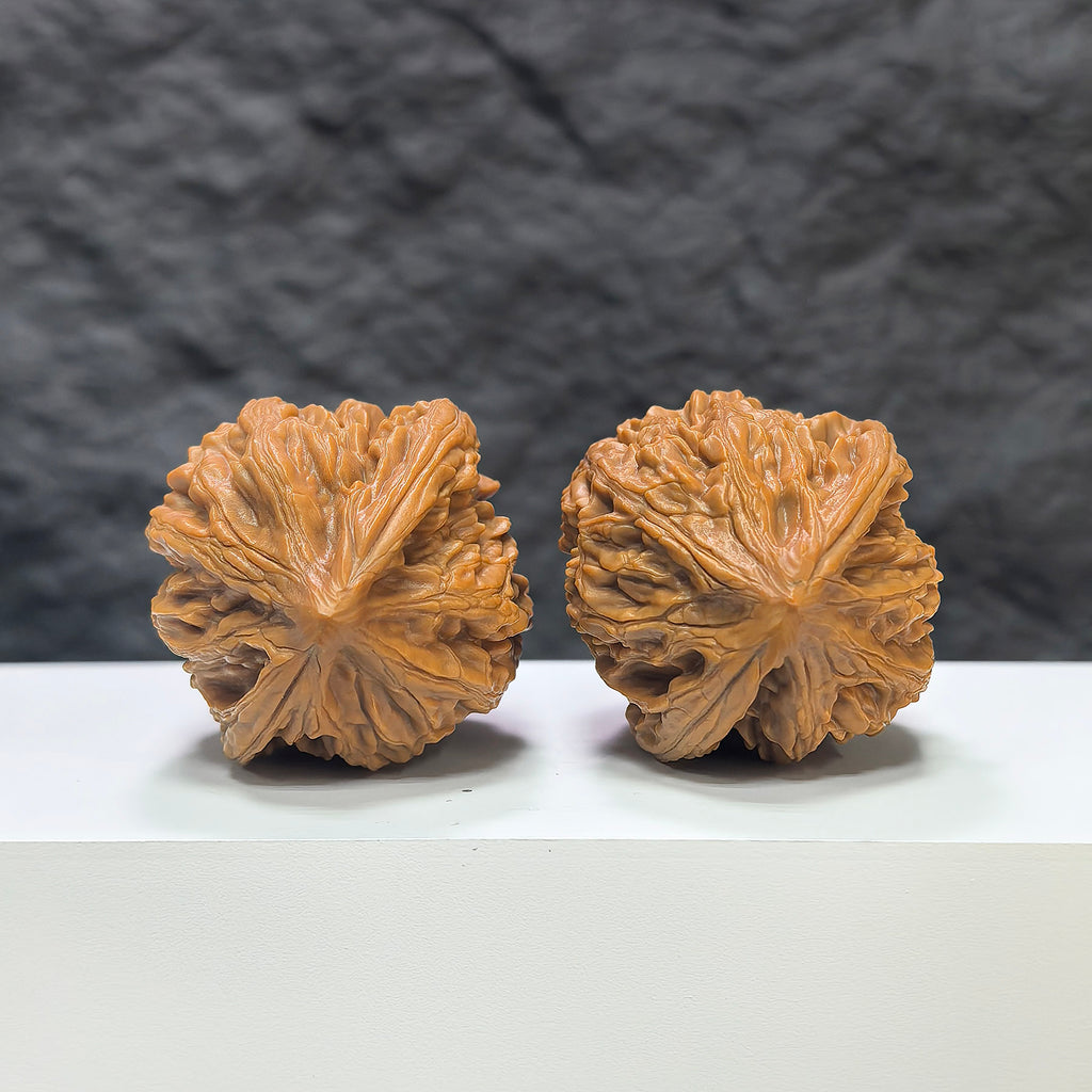 Pair of Classic Scholar Wenwan walnuts from Wenwan Art, hand-matched Beijing Jixin walnuts, 42mm and 40mm size.