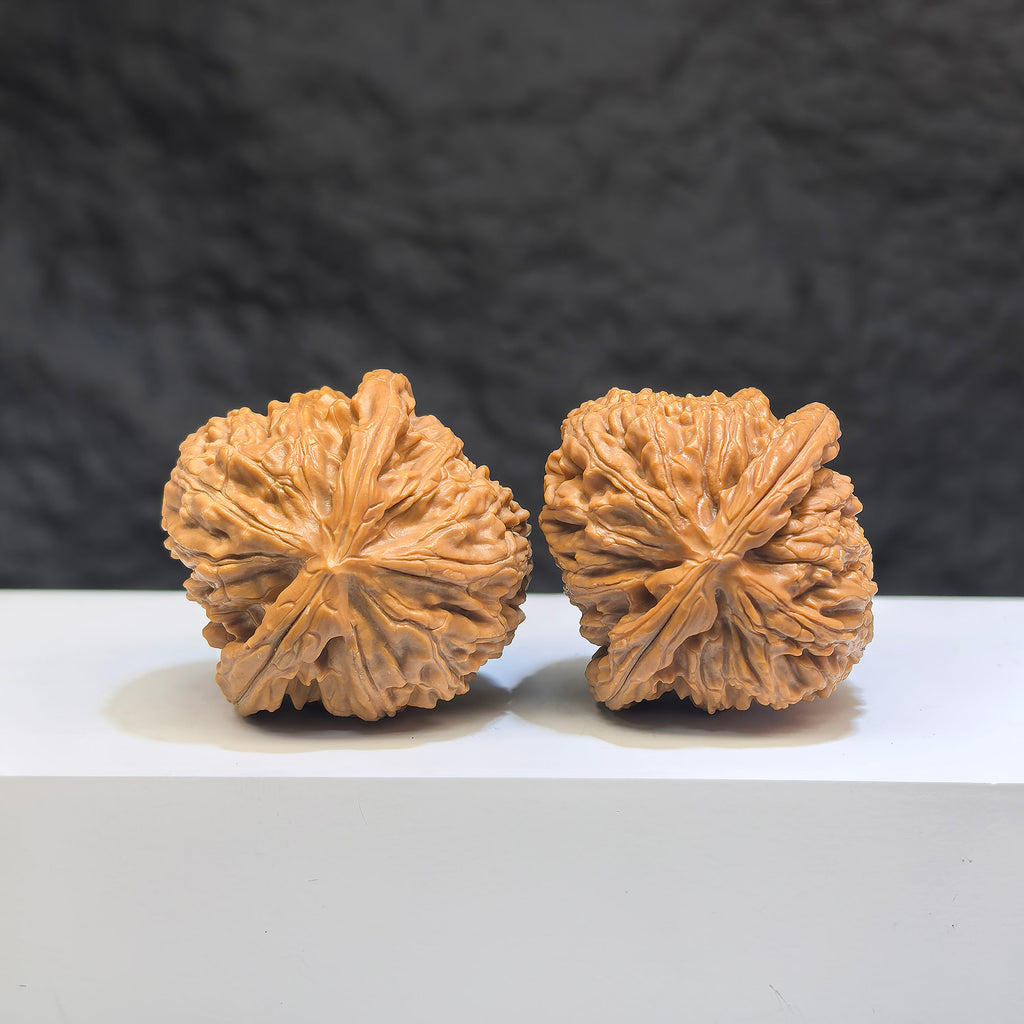 Pair of White Lion Wenwan Walnuts by Wenwan Art, 36mm size, featuring detailed carvings and natural wood grain.
