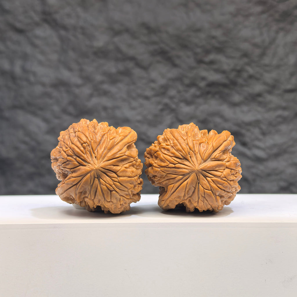 Wenwan Art selected grade Blizzard Walnut, 3.4cm x 3.4cm, showing smooth, polished surface with natural wood grain and unique texture.