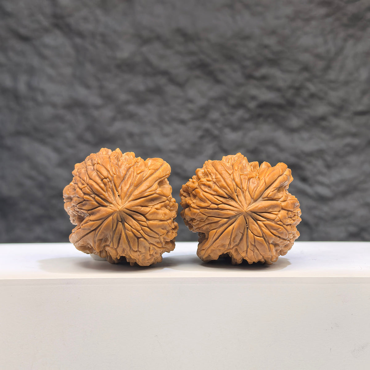 Wenwan Art selected grade Blizzard Walnut, 3.4cm x 3.4cm, showing smooth, polished surface with natural wood grain and unique texture.