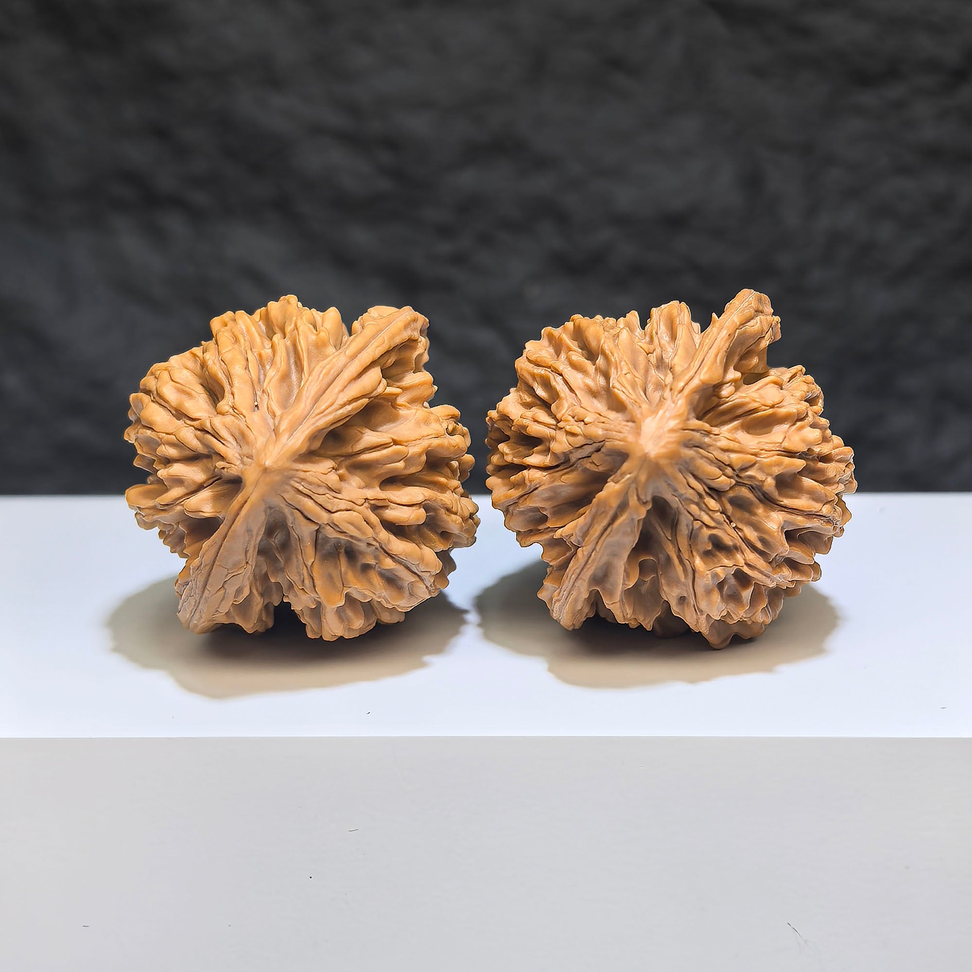Pair of Tongtian Eight Wenwan walnuts from Wenwan Art, 40mm x 37mm, showcasing intricate natural wood grain details.