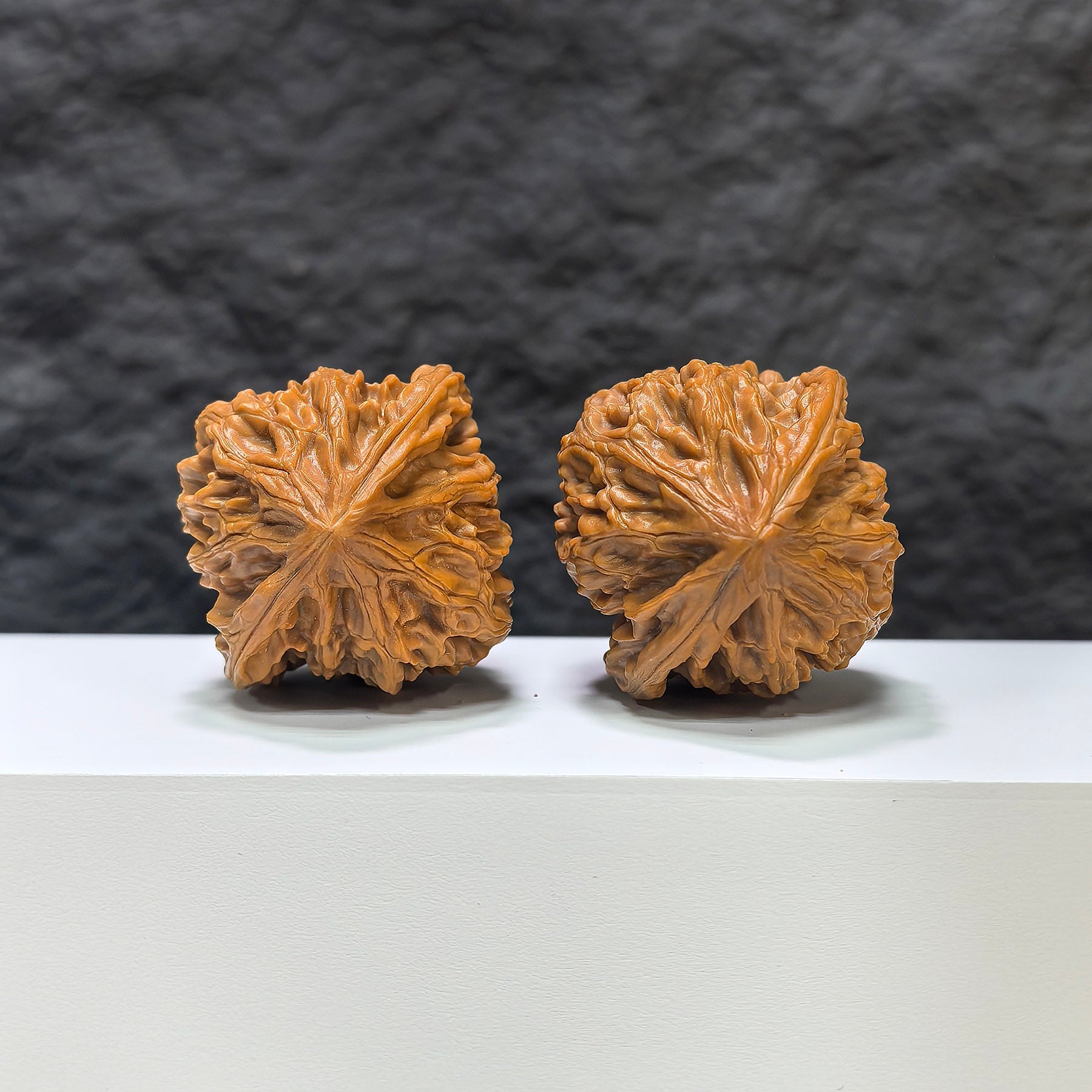 【收藏級】北京雞心 文玩核桃 (4.4 × 4.2cm) | [Collector's Grade] Beijing Chicken Heart Walnut (4.4 × 4.2cm) - SKU: JX-1B2