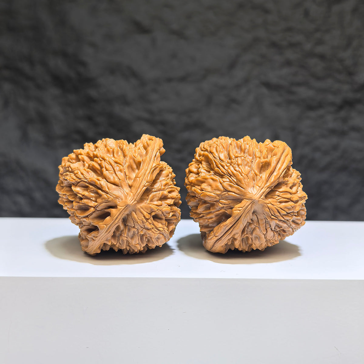 Pair of Classic Scholar Wenwan Walnuts with water dragon pattern, 40mm hand-matched spheres from Wenwan Art.