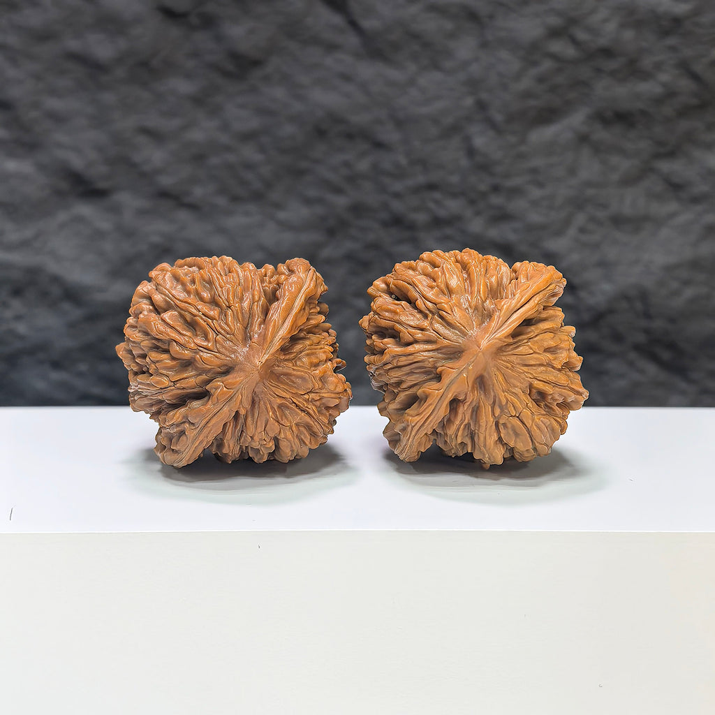 Selected grade Sizuolou Wenwan Walnut, 4.1×4.0cm, showcasing smooth, polished surface and rich natural wood grain details.