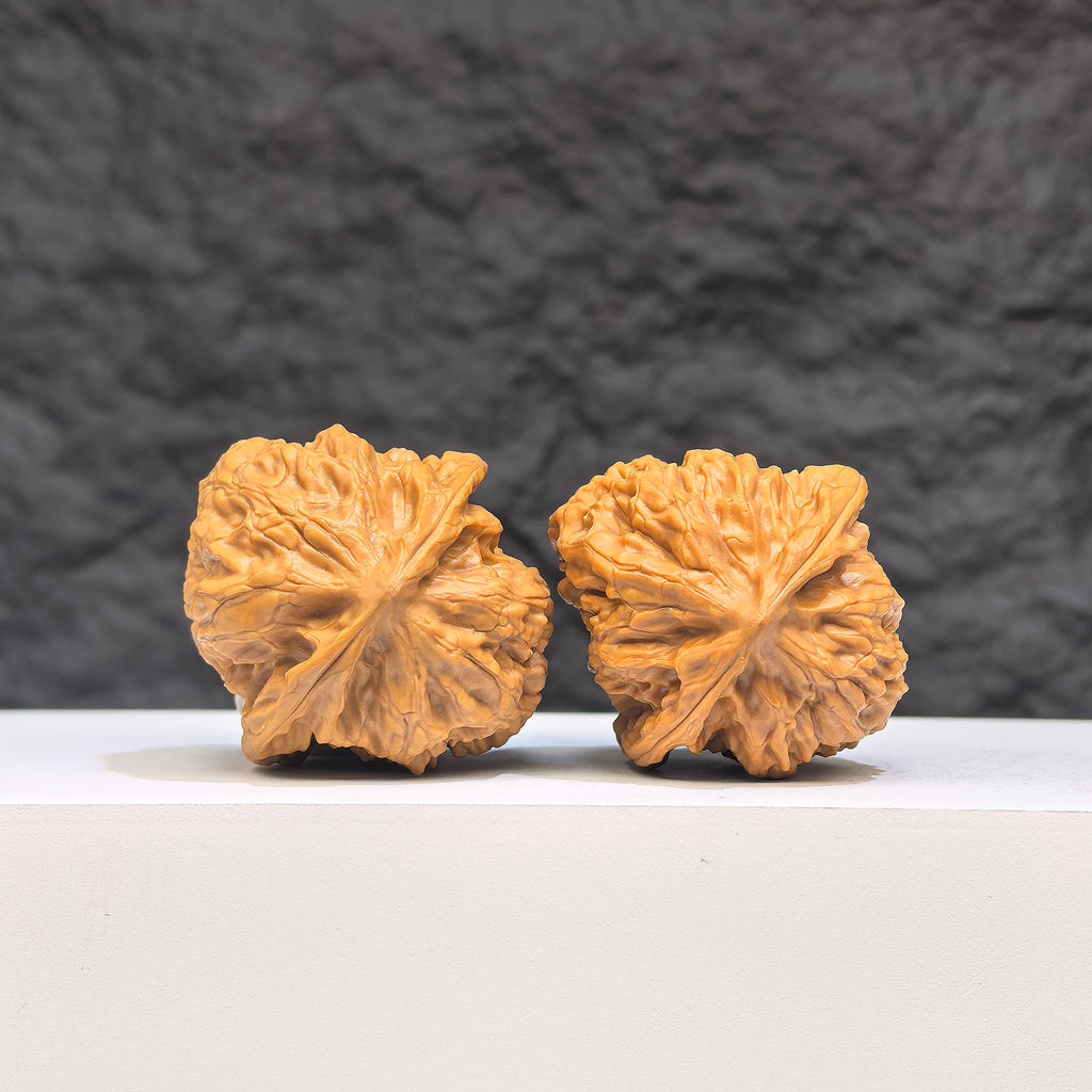 Authentic Wild Wenwan Walnut pair from Wenwan Art, featuring natural wood grain and irregular shapes, approximately 33mm by 36mm.