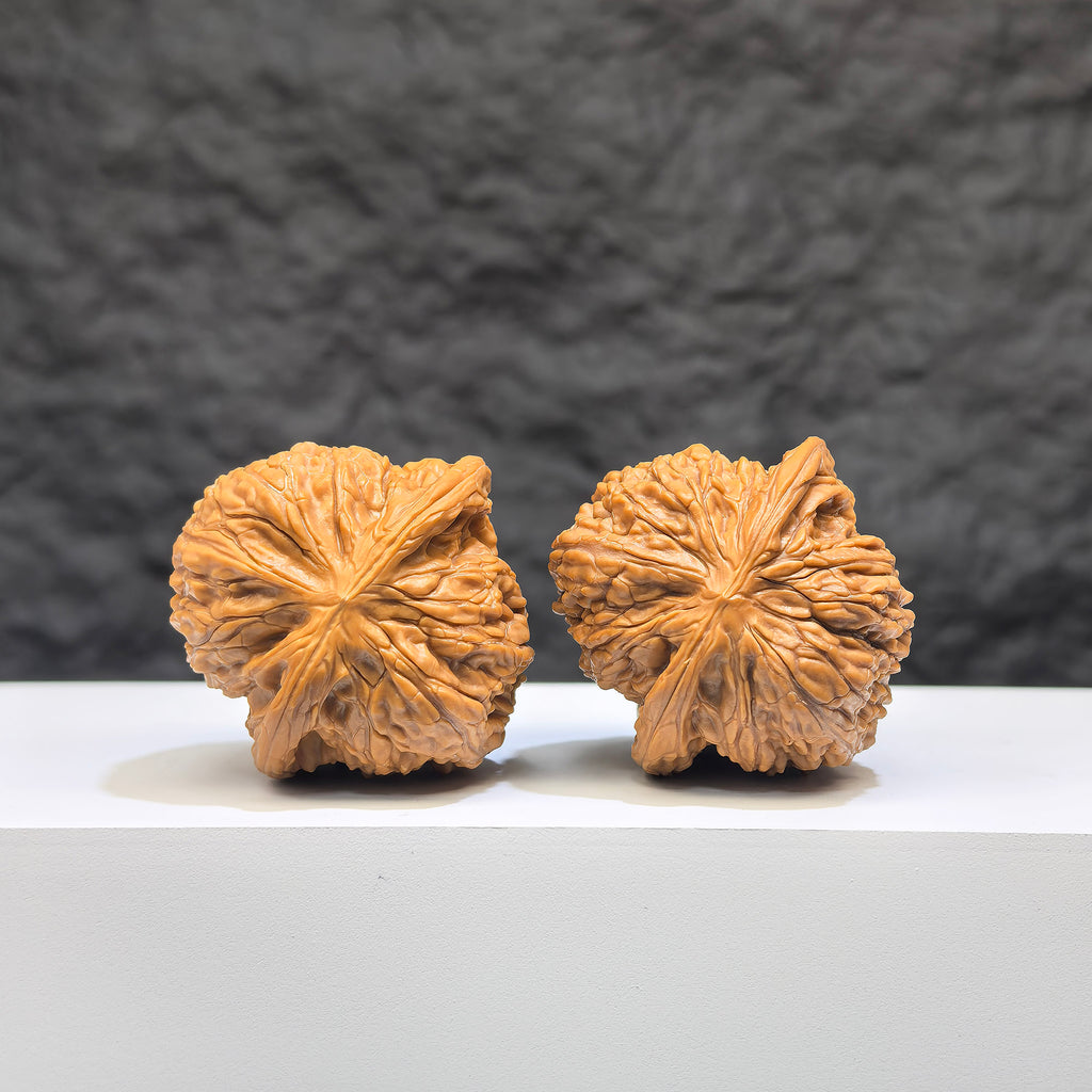 Pair of authentic Wild Wenwan Walnuts from Wenwan Art, showcasing natural wild walnuts with a 36mm diameter, labeled Wild Millstone.