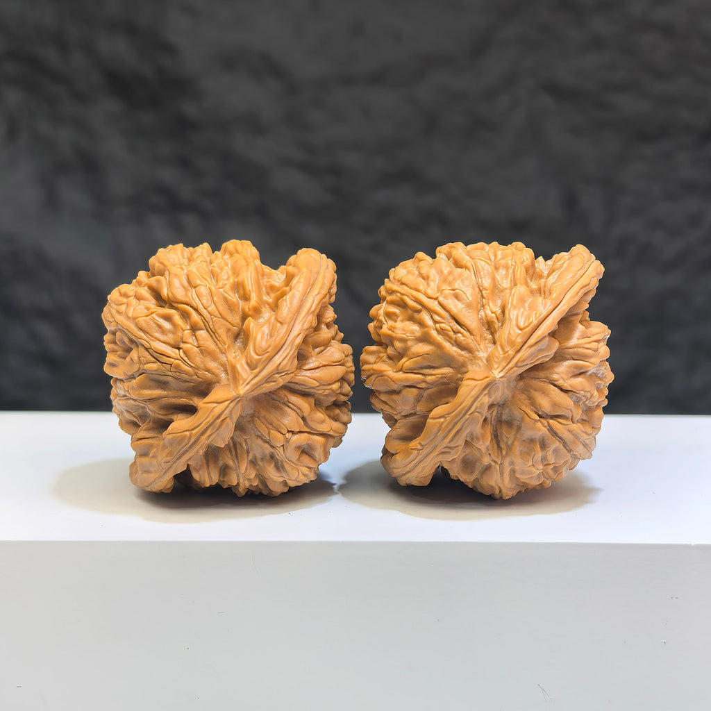 Pair of White Lion Wenwan Walnuts from Wenwan Art, 41mm x 38mm, featuring intricate carvings and smooth polished surface.