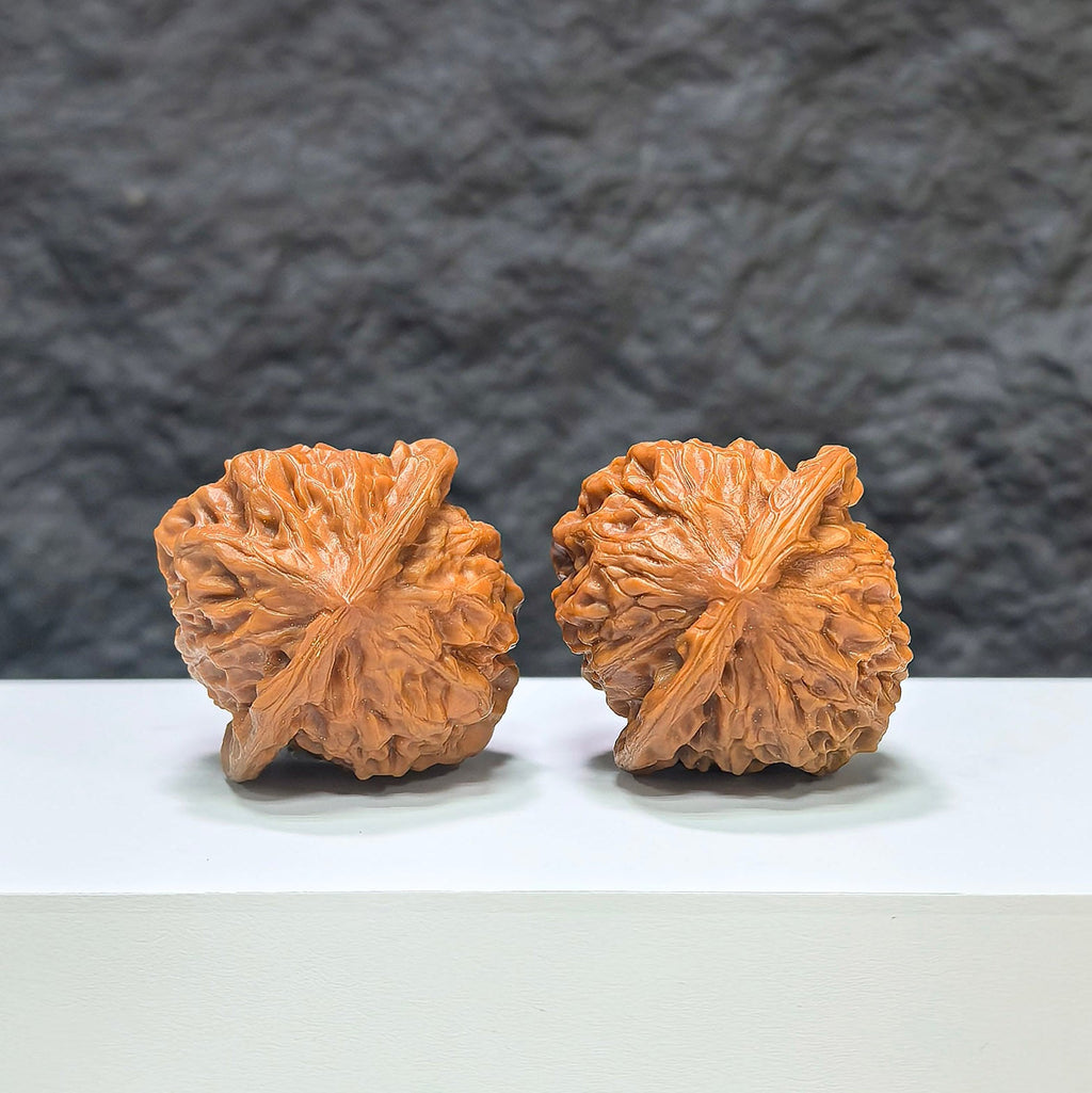 【收藏級】瓷娃娃 文玩核桃 (3.8 × 3.8cm) | [Collector's Grade] Porcelain Doll Walnut (3.8 × 3.8cm) - SKU: CWW-1C6