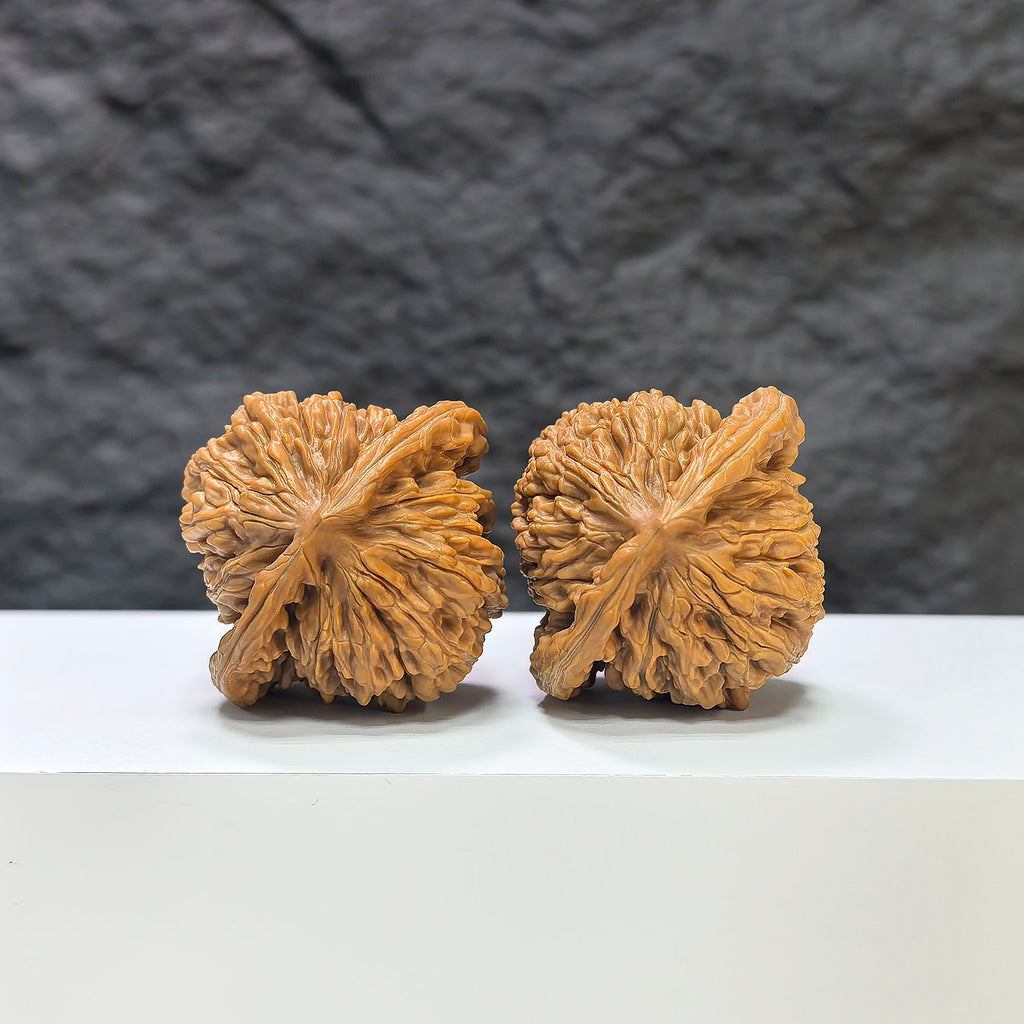 Pair of Sizuolou Classic Wenwan Walnuts by Wenwan Art, 41mm x 38mm, showing detailed carved walnut art and natural wood texture.
