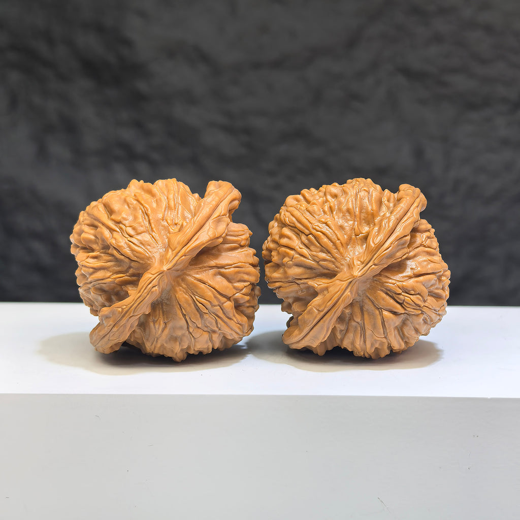 White Lion Wenwan Walnut pair by Wenwan Art, featuring 41mm classic Wenwan walnuts with detailed carvings and natural wood grains.
