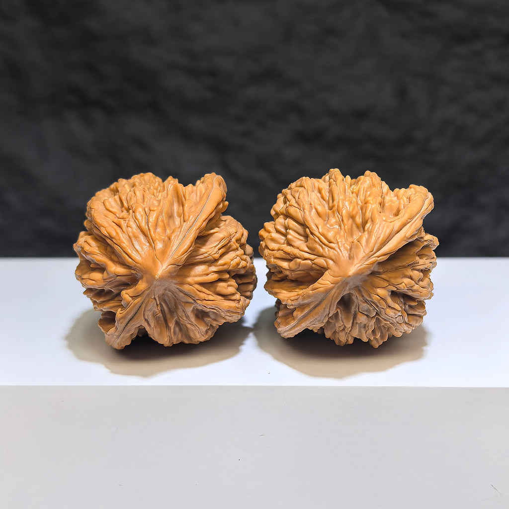 Wenwan Art wheat ear tiger head classic Wenwan walnut pair, 38mm x 36mm, featuring detailed tiger head designs.