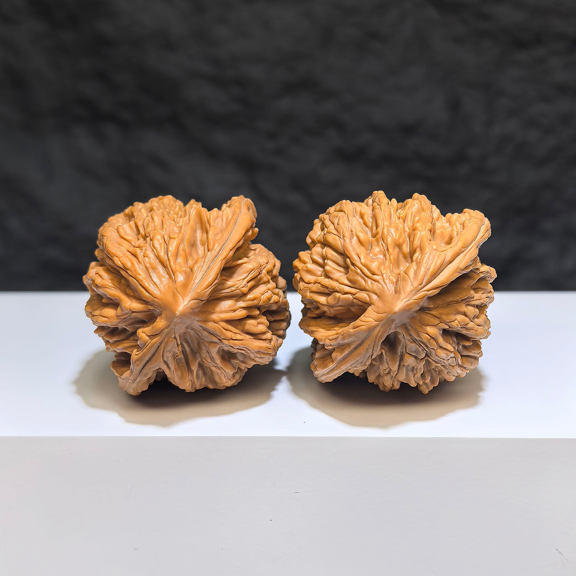 Wenwan Art wheat ear tiger head classic Wenwan walnut pair, 38mm x 36mm, featuring detailed tiger head designs.