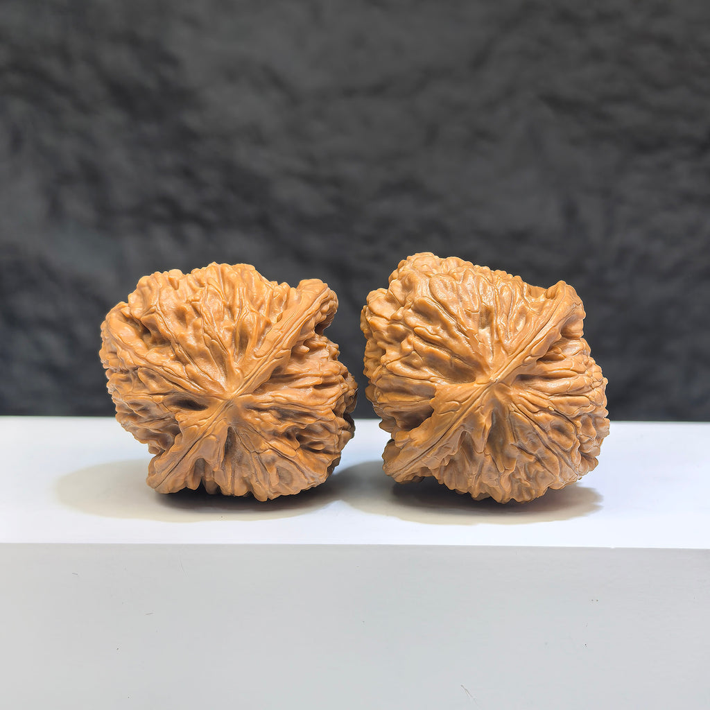 White Lion Wenwan Walnut pair by Wenwan Art, featuring detailed carvings and natural white and brown tones, 38mm x 39mm.