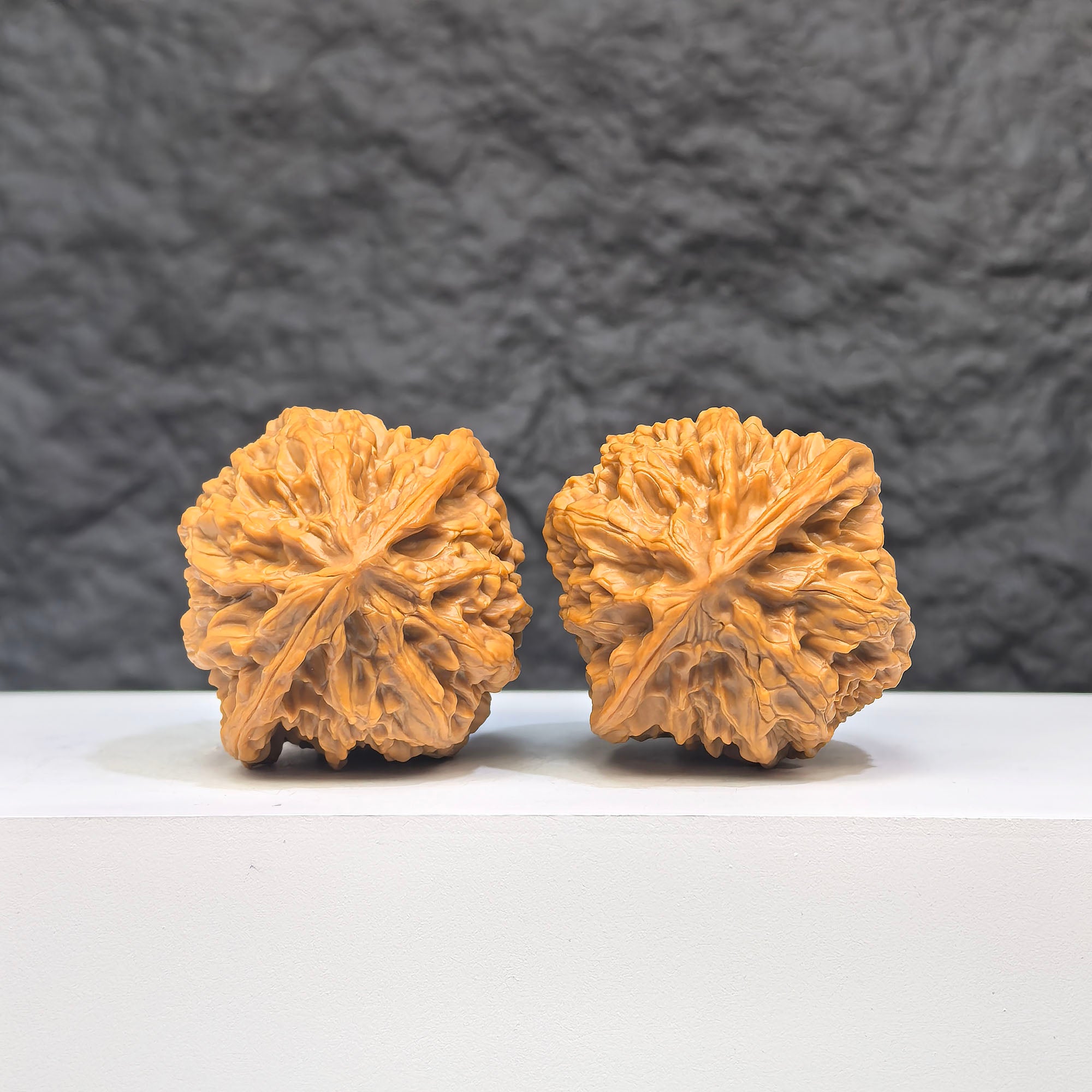 Selected grade Wild Bison Walnut Wenwan art piece, measuring 3.8cm by 3.7cm, with intricate natural grain texture.