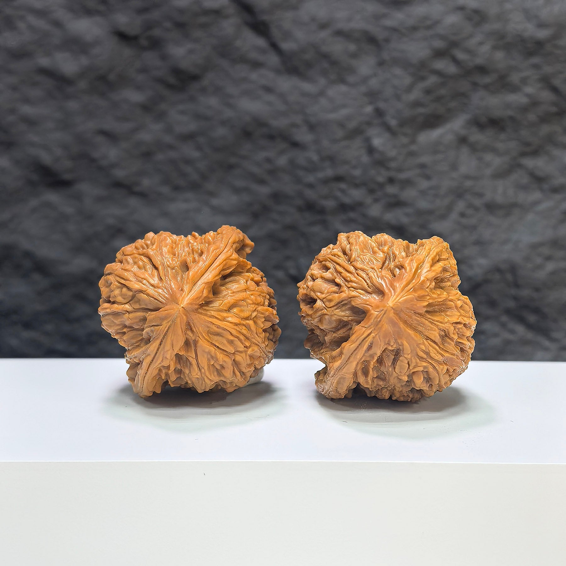 【收藏級】三角南疆石 文玩核桃 (4.0 × 3.9cm) | [Collector's Grade] Tri-Angular Nanjiangstone Walnut (4.0 × 3.9cm) - SKU: SJNJS-1C0
