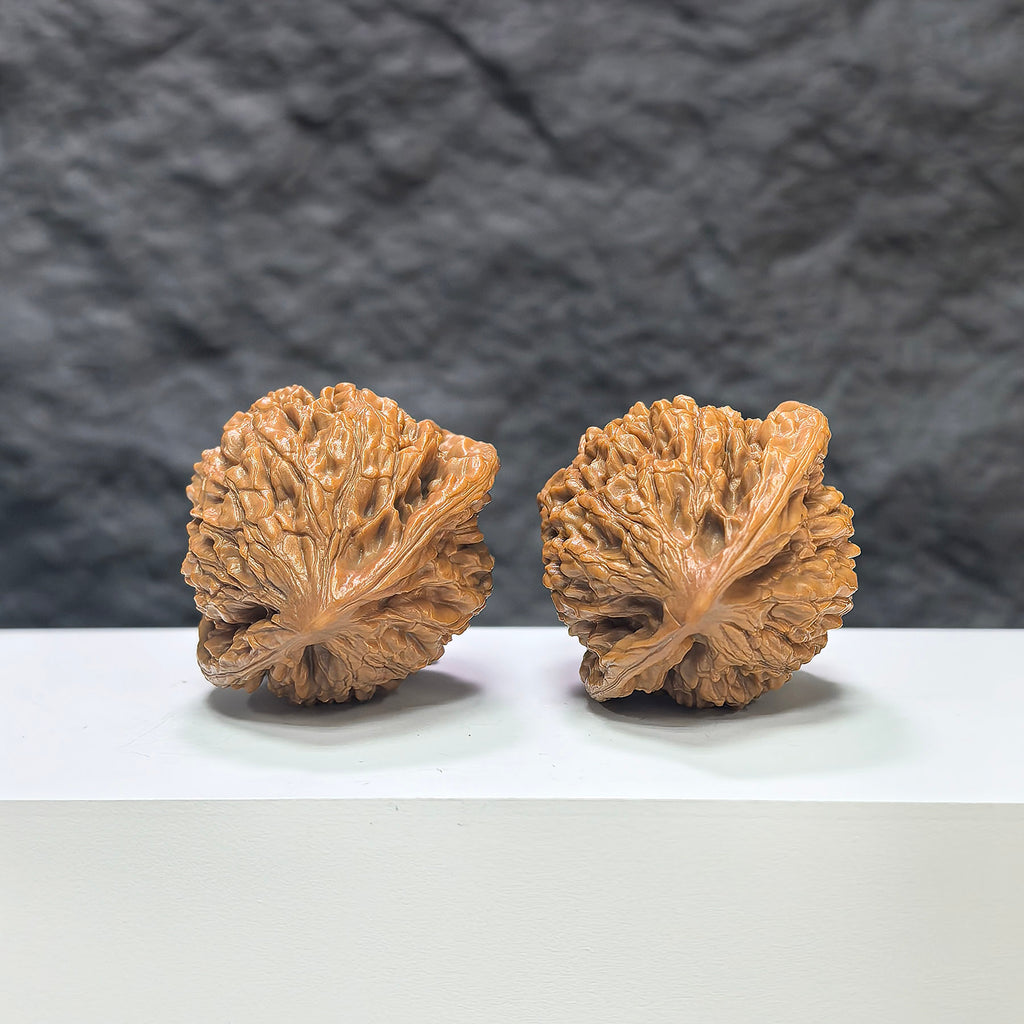 Pair of large Wenwan Art official Wenwan walnuts, 40mm and 36mm, showcasing their smooth, polished surface and natural walnut color.