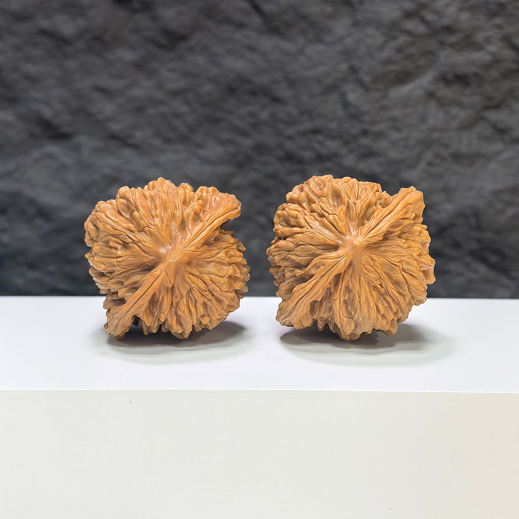 Selected grade Wenwan walnut from Wenwan Art, four-seat Sizuolou walnut measuring 4.2x3.8cm, natural wooden texture.