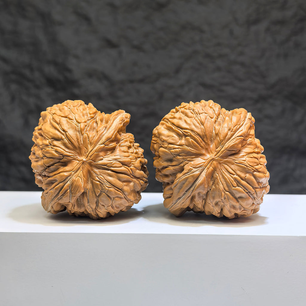 Pair of Huakun Dragon Wenwan walnuts with dragon-scale patterns, 49mm x 51mm, crafted by Wenwan Art in vibrant detail.