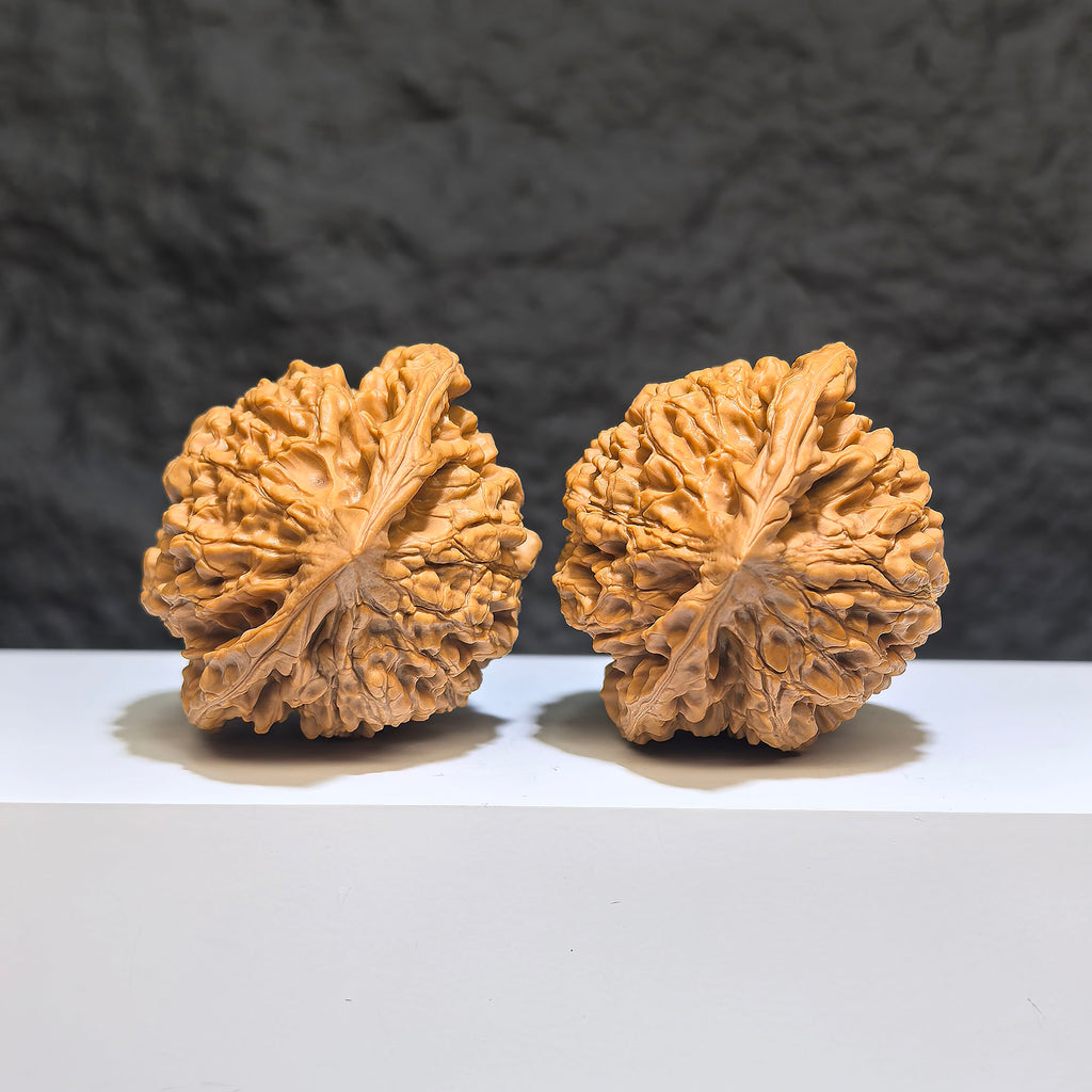 【收藏級】麒麟紋 文玩核桃 (4.9 × 4.3cm) | [Collector's Grade] Kylin Texture Walnut (4.9 × 4.3cm) - SKU: QLW-1Z5