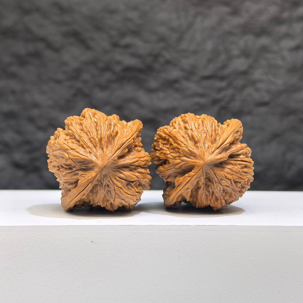 Pair of Peach Heart Concave Base Ruby Wenwan Walnuts from Wenwan Art, featuring 35mm x 33mm deep-base reddish-brown walnuts.