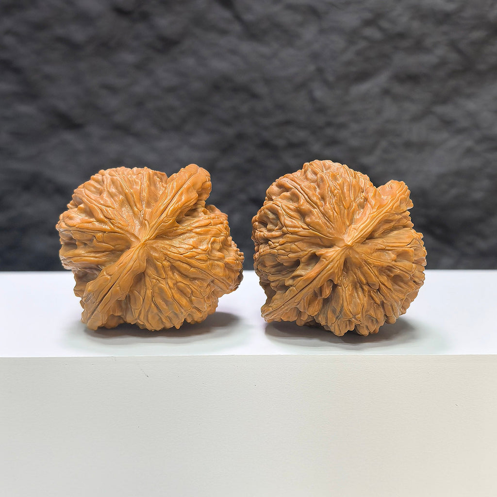【收藏級】球形白獅子 文玩核桃 (4.4 × 4.3cm) | [Collector's Grade] Spherical White Lion Walnut (4.4 × 4.3cm) - SKU: BSZ-1A1