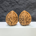 Pair of Beijing Chicken Heart Wenwan walnuts from Wenwan Art, showing detailed natural walnut surface and size of 37mm x 38mm.