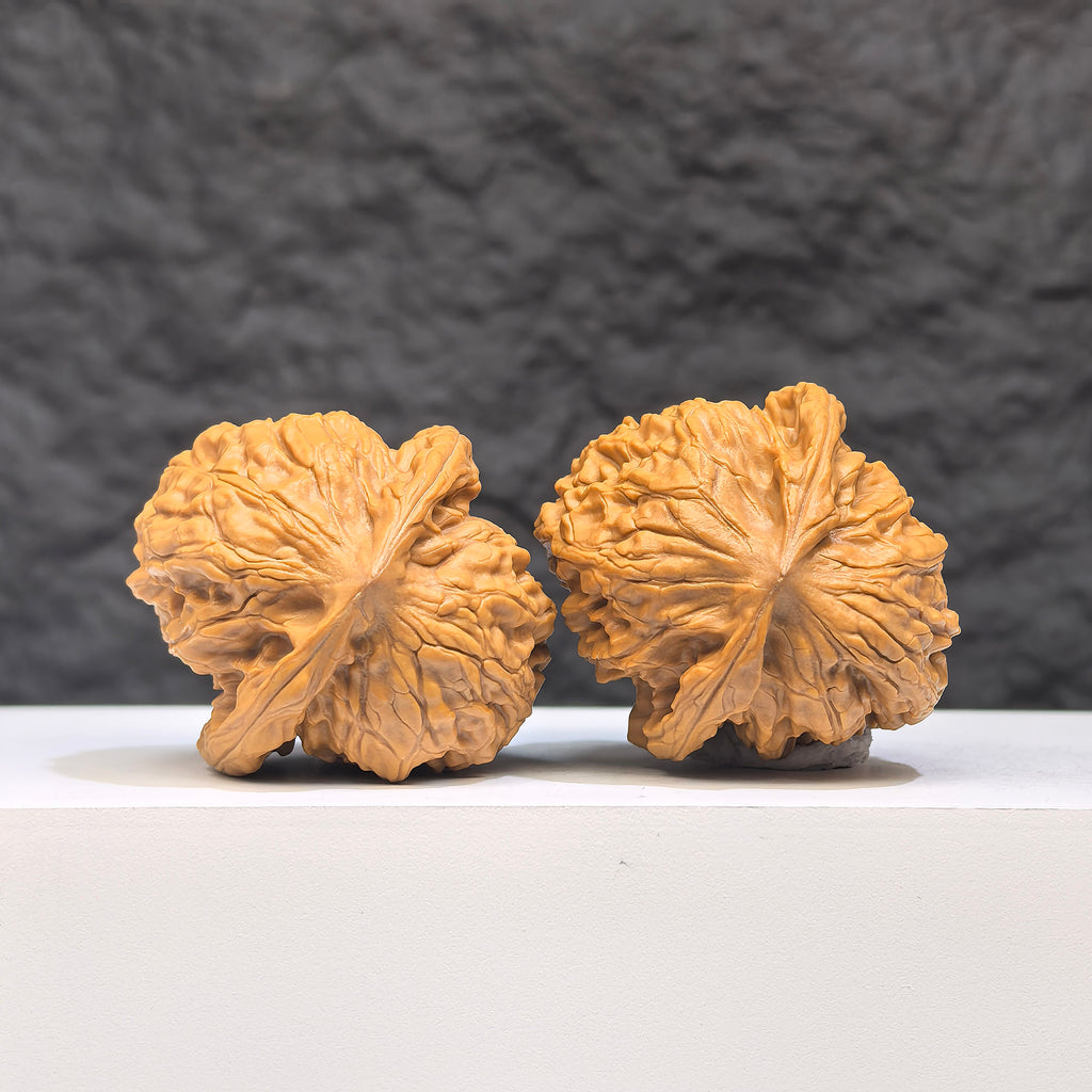 Pair of authentic Wild Wolf Wenwan walnuts from Wenwan Art, showcasing natural walnut shells with detailed textures.
