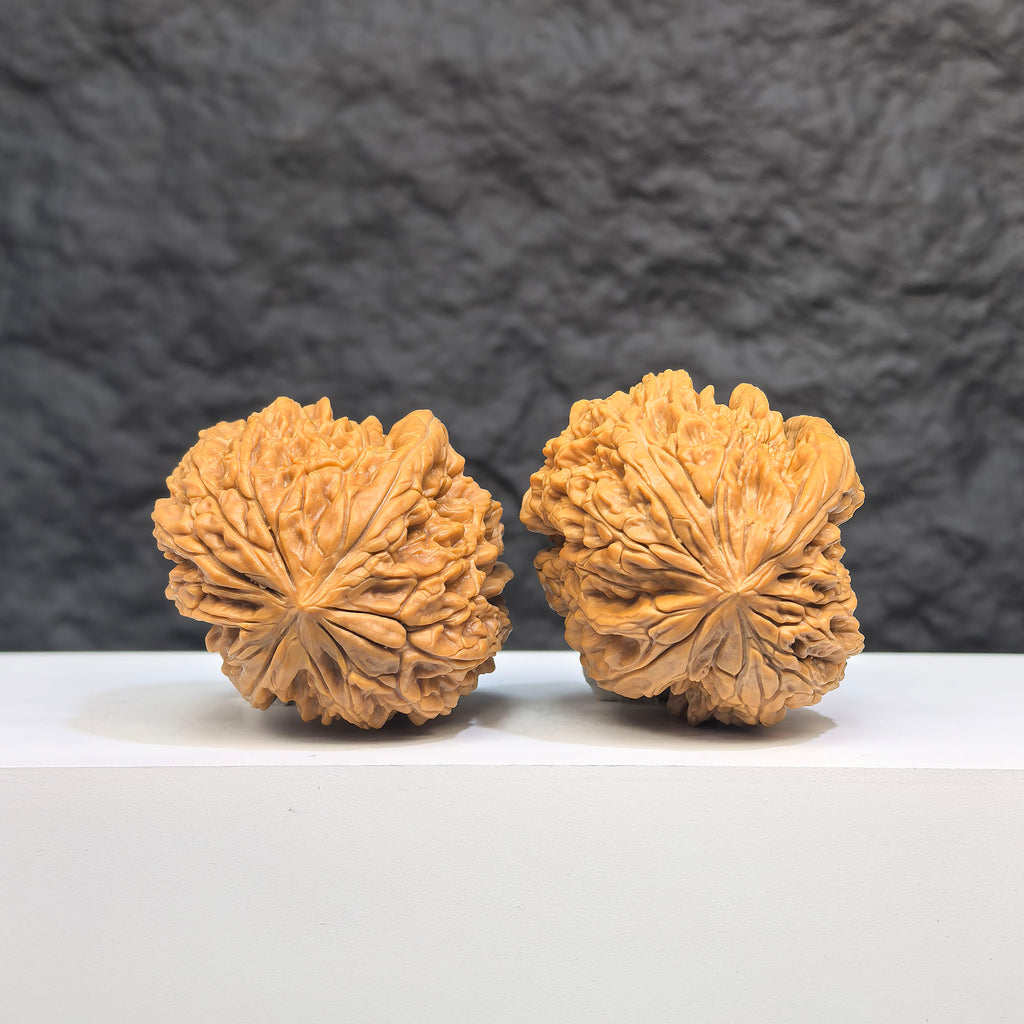 Selected grade Blizzard Wenwan Walnut, 3.8x3.9cm, from Wenwan Art, showcasing smooth, polished surface and natural wood grain.