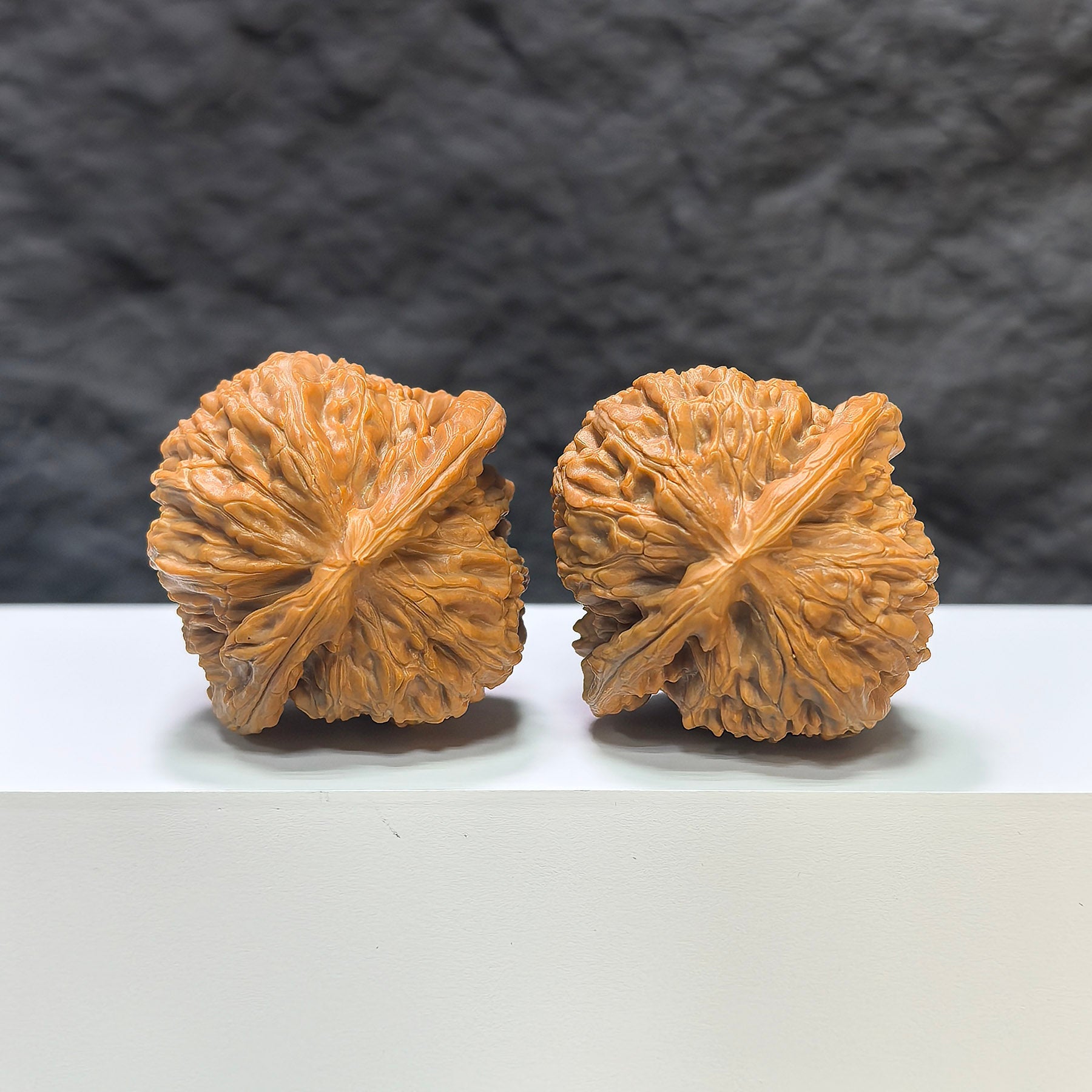 【收藏級】三角白獅子 文玩核桃 (4.4 × 4.3cm) | [Collector's Grade] Tri-Angular White Lion Walnut (4.4 × 4.3cm) - SKU: BSZ-1A2