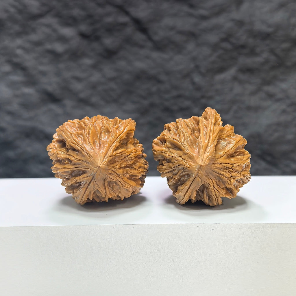 Pair of Beijing Chicken Heart Wenwan walnuts by Wenwan Art, 39mm each, showcasing intricate natural walnut patterns and smooth texture.
