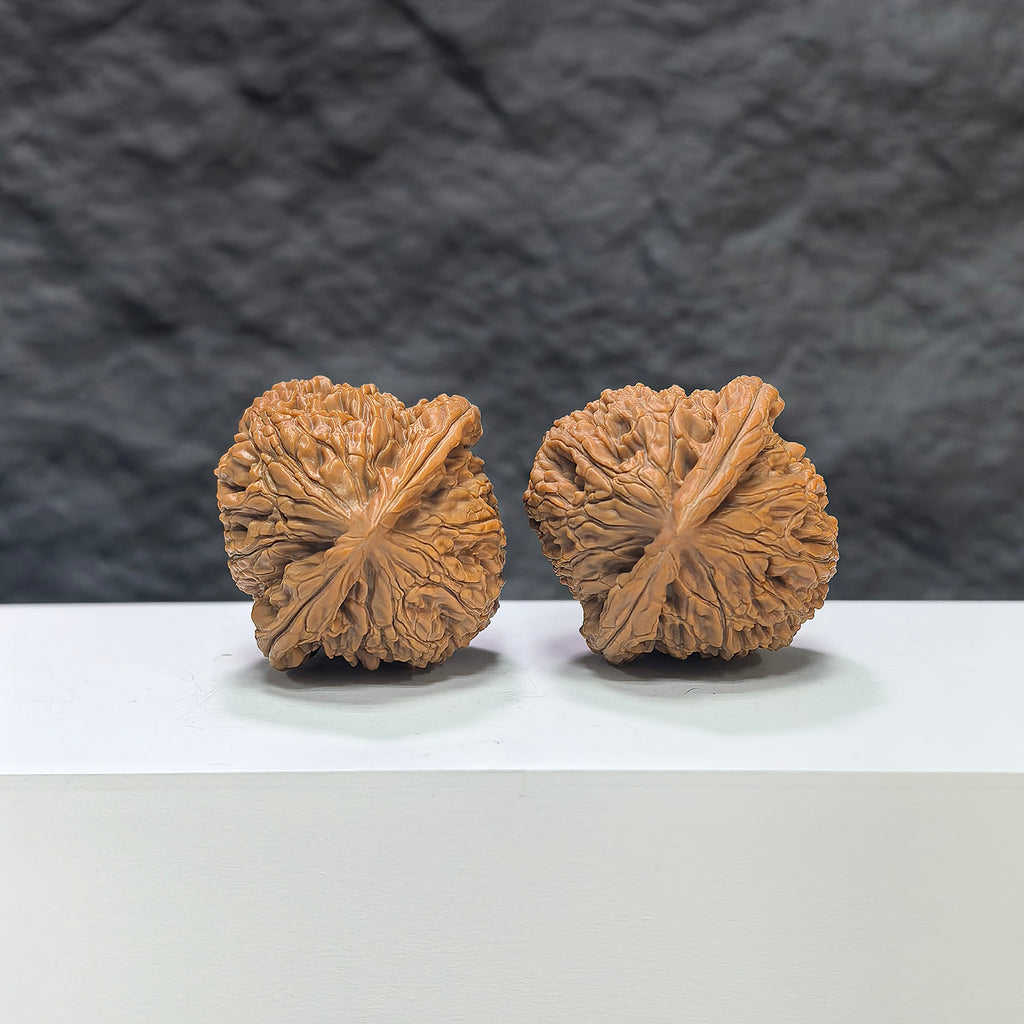 Pair of Water Dragon Texture Wenwan Walnuts by Wenwan Art, 37mm x 36mm with intricate water dragon pattern.