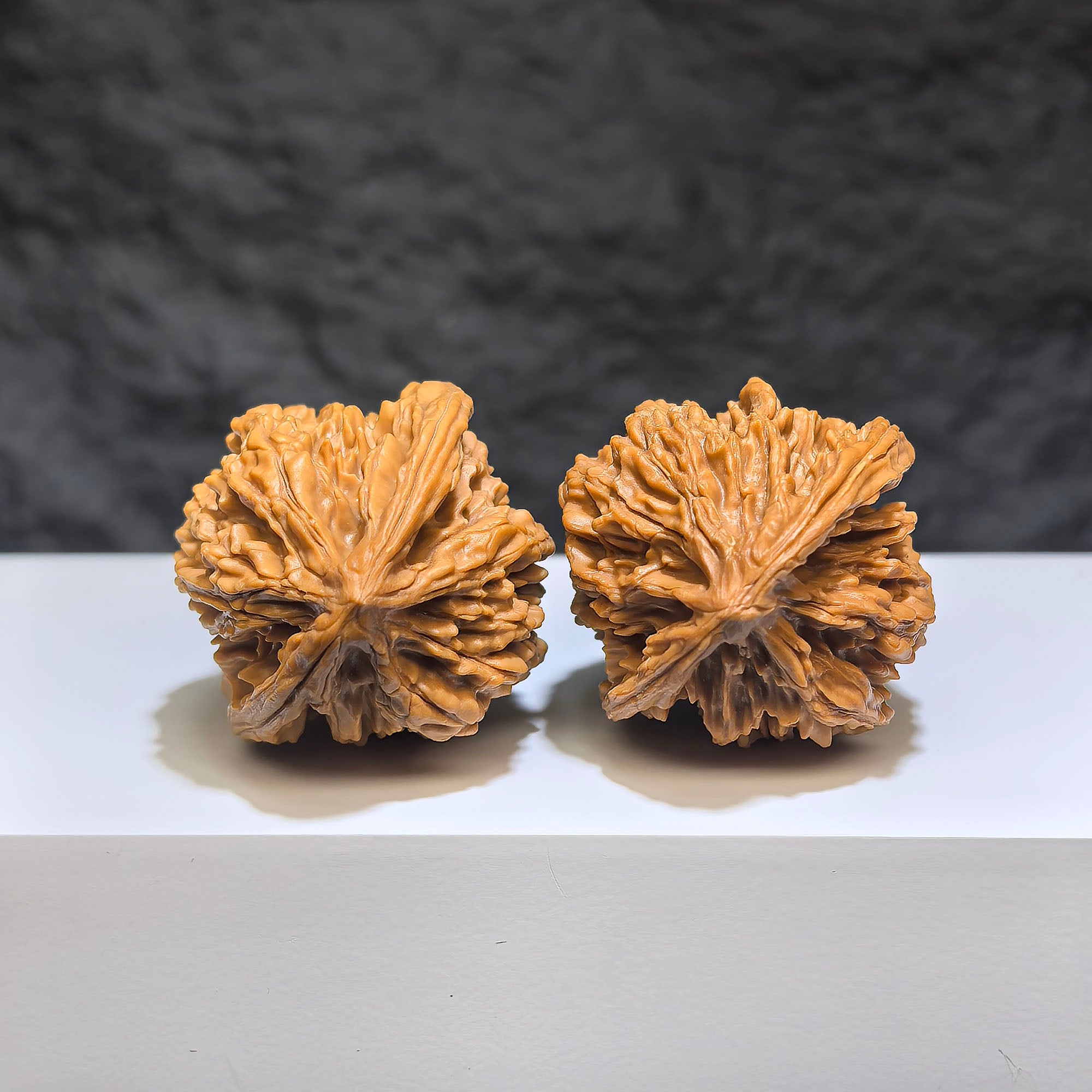 Pair of Tongtian Eight Wenwan walnuts by Wenwan Art, 36mm x 35mm, showcasing detailed carved patterns and smooth polished surfaces.