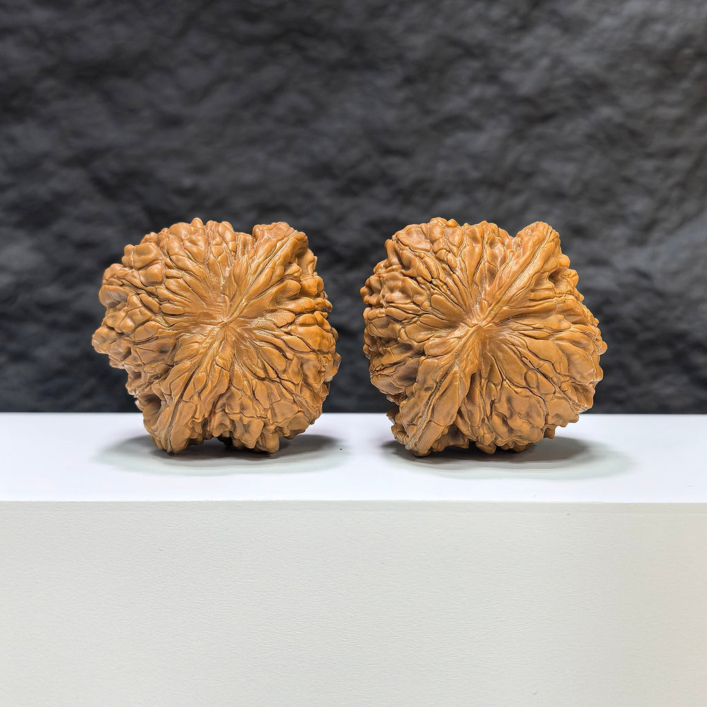 【收藏級】华坤龙 文玩核桃 (4.9 × 4.7cm) | [Collector's Grade] Huakun Dragon Walnut (4.9 × 4.7cm) - SKU: HKL-1B4