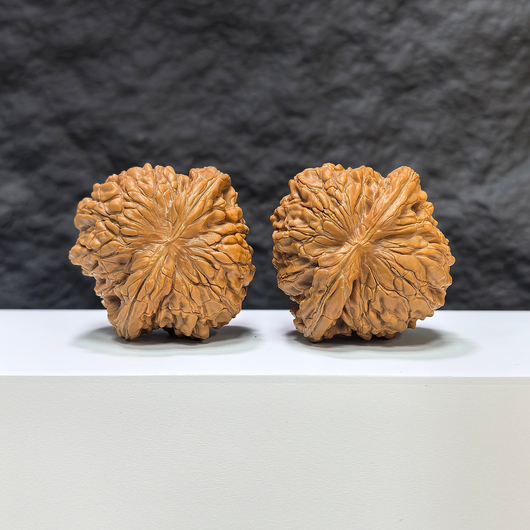 【收藏級】华坤龙 文玩核桃 (4.9 × 4.7cm) | [Collector's Grade] Huakun Dragon Walnut (4.9 × 4.7cm) - SKU: HKL-1B4