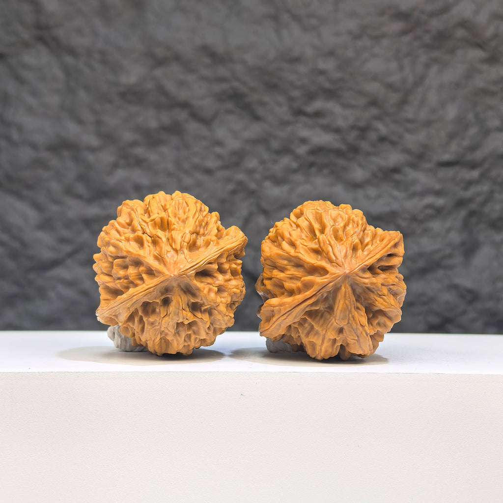 Pair of Golden Taurus Wenwan walnuts by Wenwan Art, showcasing smooth, polished natural wood with golden hue and intricate grain details.