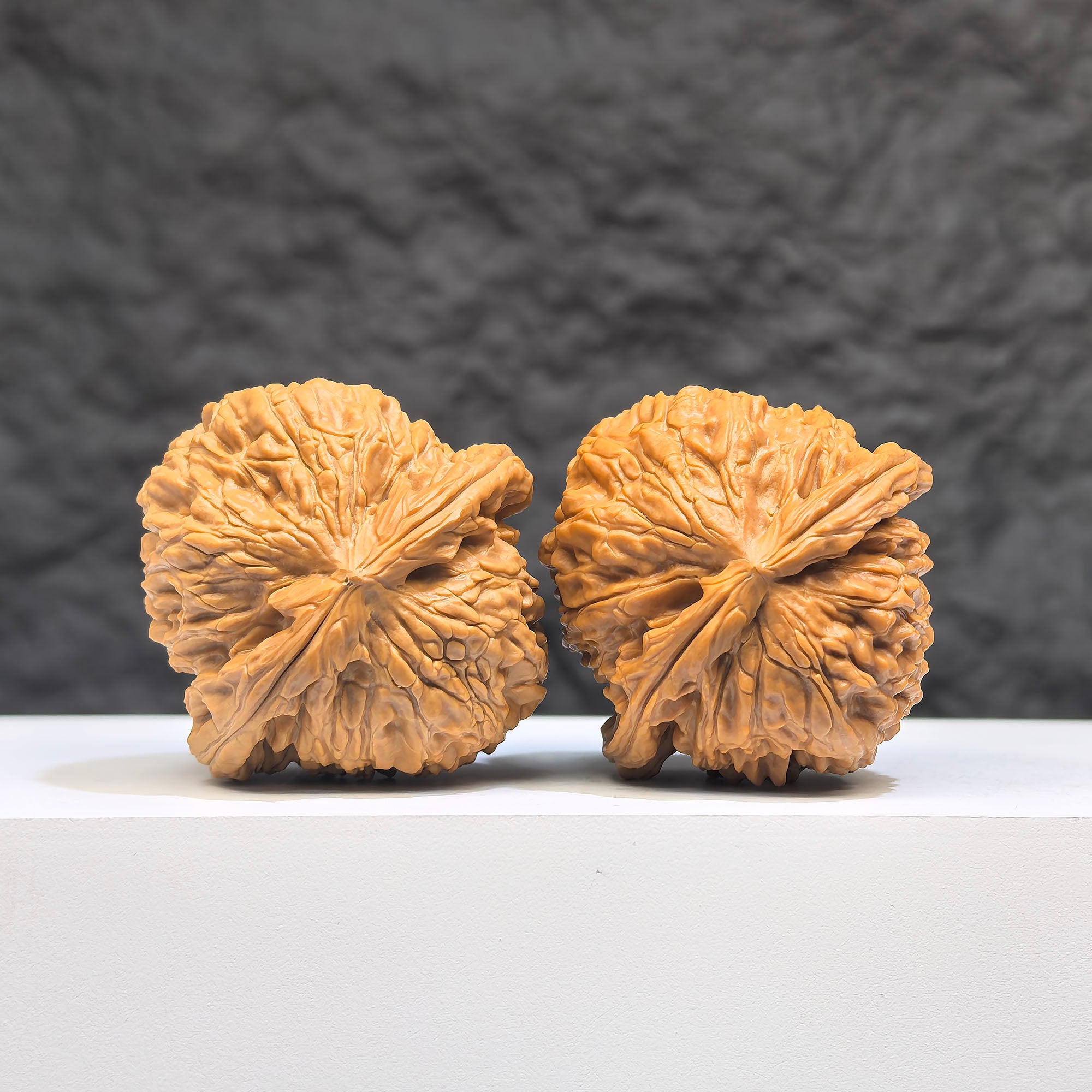 Pair of White Lion Wenwan walnuts from Wenwan Art, featuring smooth white stone with natural markings, 37mm x 38mm size.
