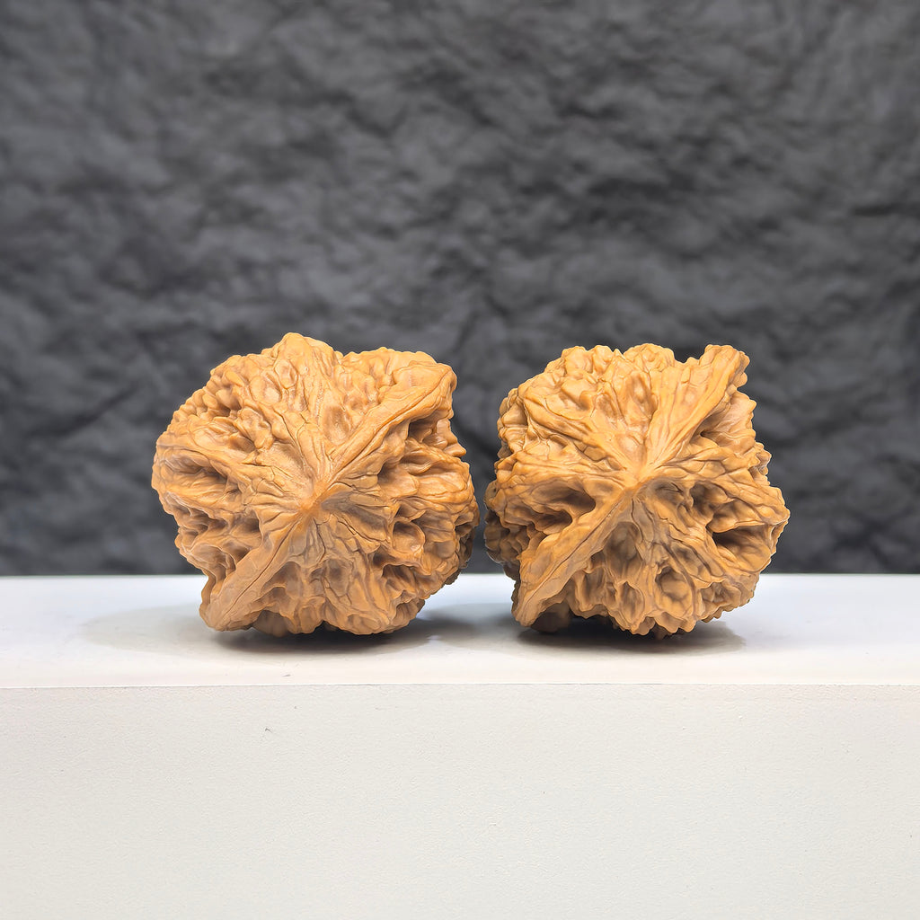 Selected grade Wild Bison Walnut from Wenwan Art, 3.8x3.6cm, showcasing smooth surface and rich natural wood grain details.