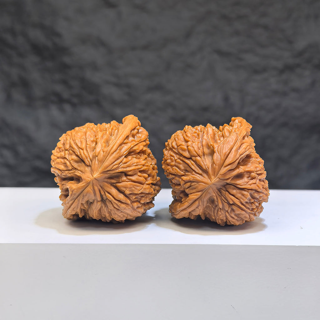 Pair of Red Shell Nanjiangstone Wenwan walnuts from Wenwan Art, 40mm x 38mm, showcasing smooth, polished classic walnut shapes.