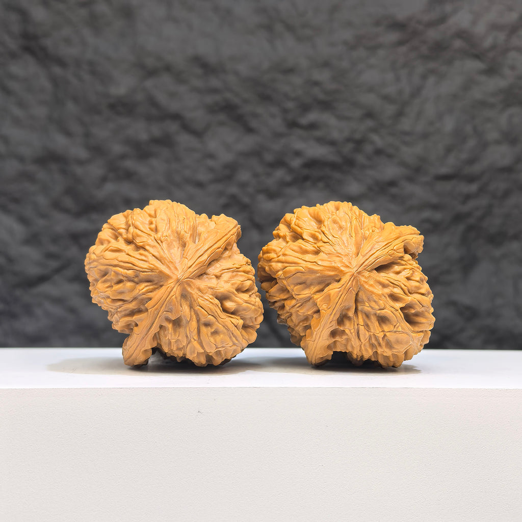 White Lion Wenwan walnut pair by Wenwan Art, classic carved stone walnuts, 36mm x 39mm, featuring detailed lion designs.