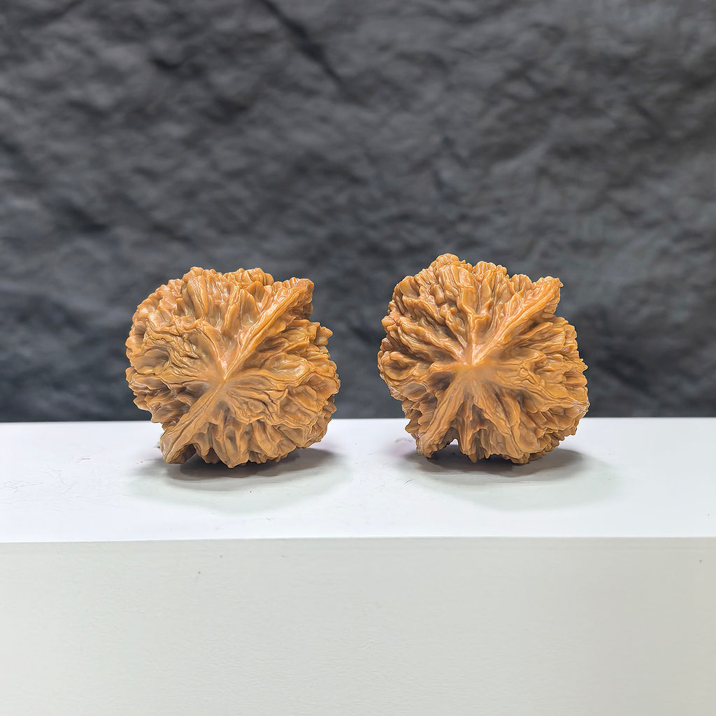 Pair of Dragon Scale Wenwan Walnuts by Wenwan Art, 36mm x 36mm, featuring intricate textured surfaces and natural walnut shapes.