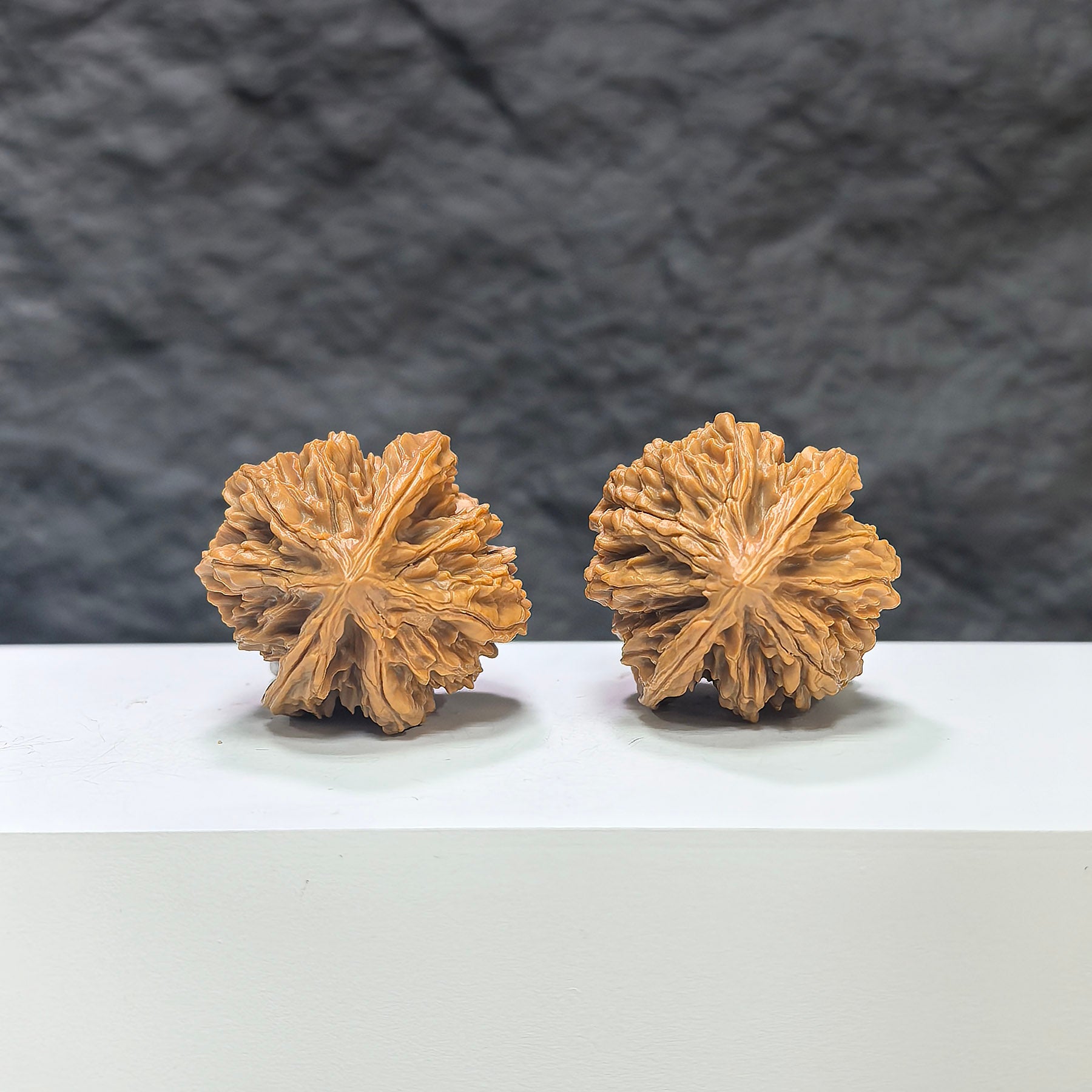Pair of Tongtian Eight Wenwan walnuts from Wenwan Art, 33mm size, showcasing polished, natural walnut surface with intricate patterns.