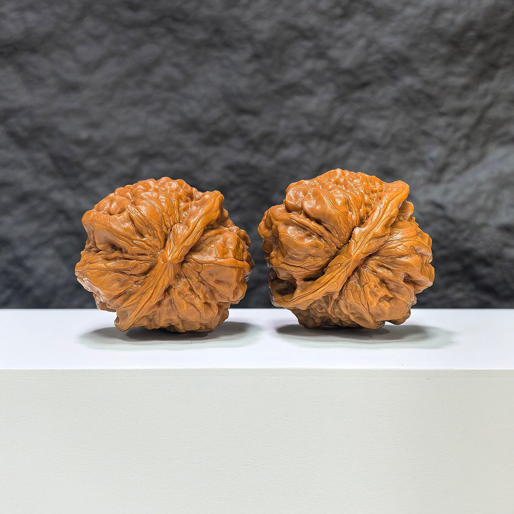 【收藏級】蛤蟆頭 文玩核桃 (4.4 × 4.4cm) | [Collector's Grade] Toad Head Walnut (4.4 × 4.4cm) - SKU: HMT-1B0