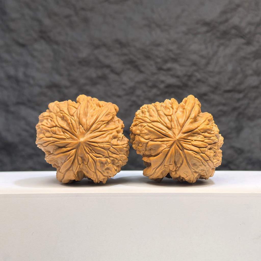 Selected grade Blizzard Wenwan Walnut, 4.3x4.4cm, with smooth surface and natural wood grain, by Wenwan Art.