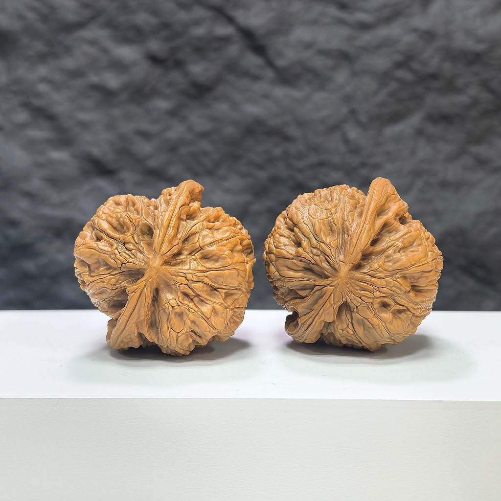 Pair of North China General Shoulder Wenwan walnuts by Wenwan Art, 40mm, showcasing detailed natural walnut textures and smooth surfaces.