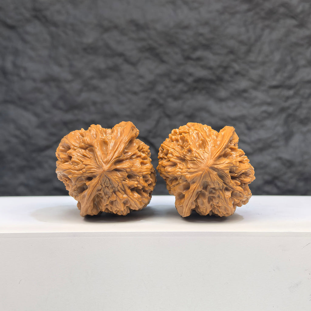 Selected grade Wild Bison Walnut Wenwan Art, 3.8cm diameter, showing smooth surface and natural wood grain details.