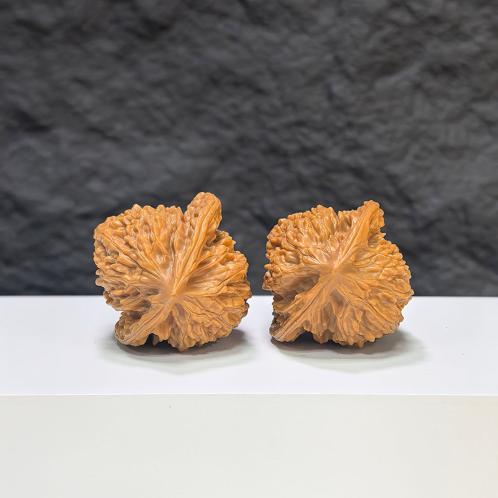 Pair of Xiayunling Classic Wenwan Walnuts, 36mm, detailed wood grain, crafted by Wenwan Art, showcasing natural walnut texture.