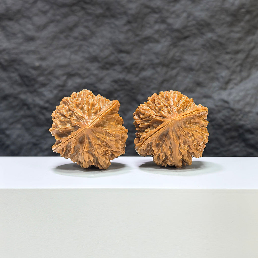 【收藏級】燈籠 文玩核桃 (4.0 × 3.9cm) | [Collector's Grade] Lantern Walnut (4.0 × 3.9cm) - SKU: DL-1B8