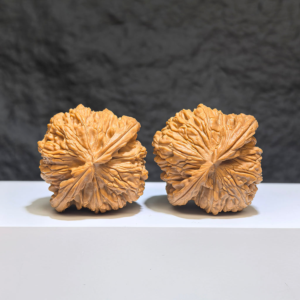 【收藏級】球形白獅子 文玩核桃 (4.3 × 4.2cm) | [Collector's Grade] Spherical White Lion Walnut (4.3 × 4.2cm) - SKU: QXBSZ-1Z2